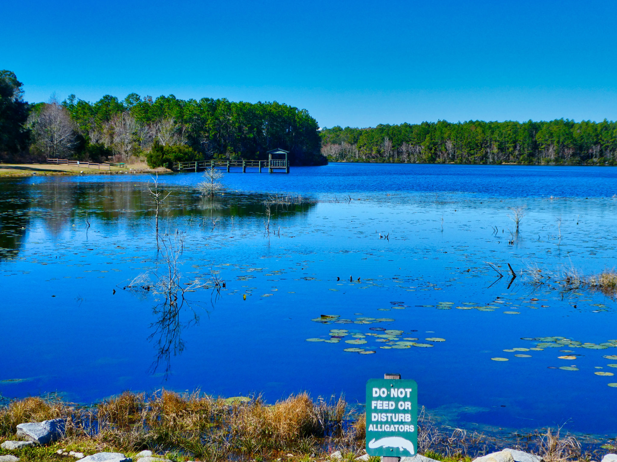King’s Bay, GA and Cumberland Island Easin' Along