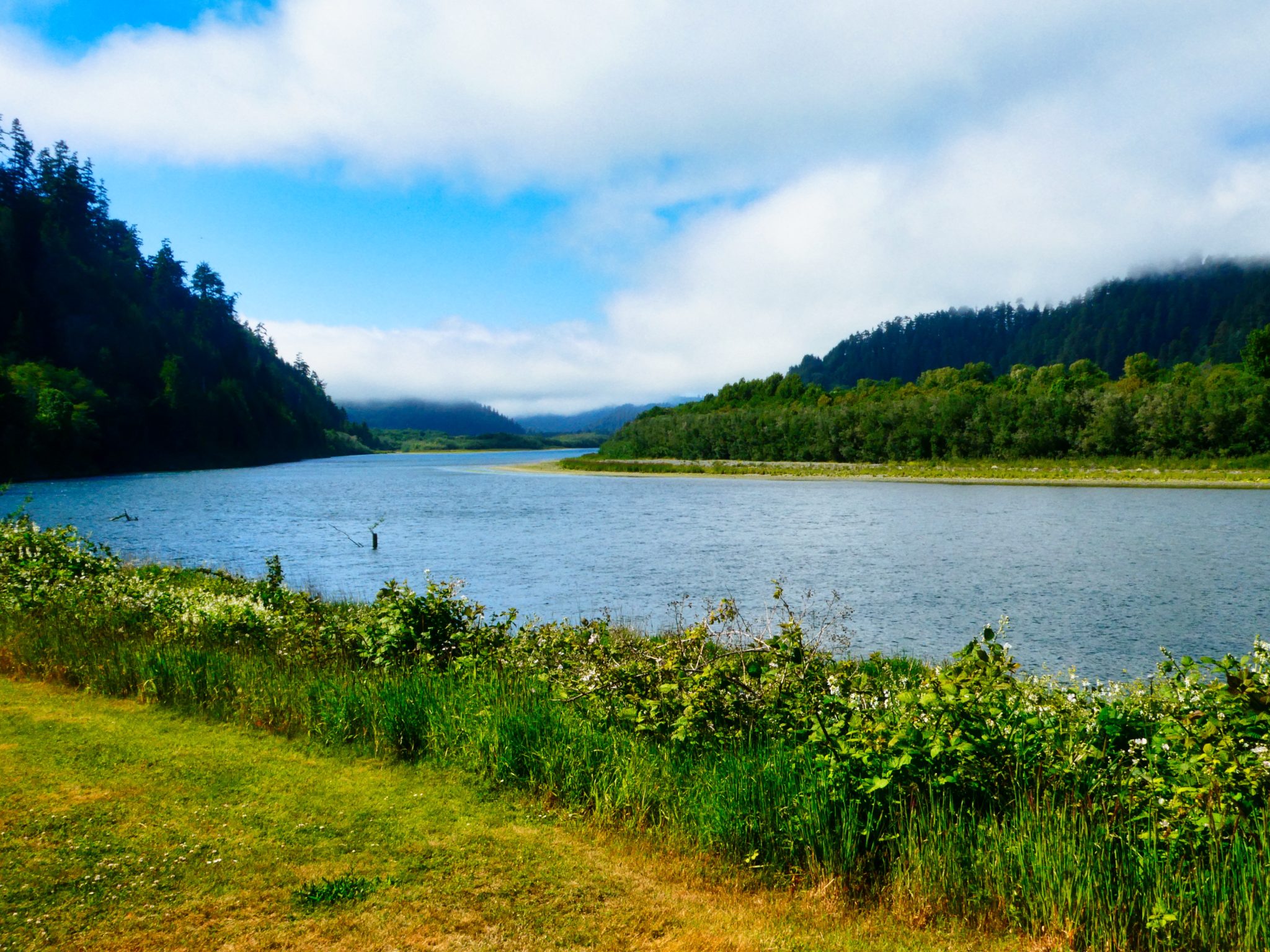 Klamath, CA and the Coastal Redwoods Easin' Along